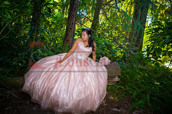 Julianna Mis Quince _0070