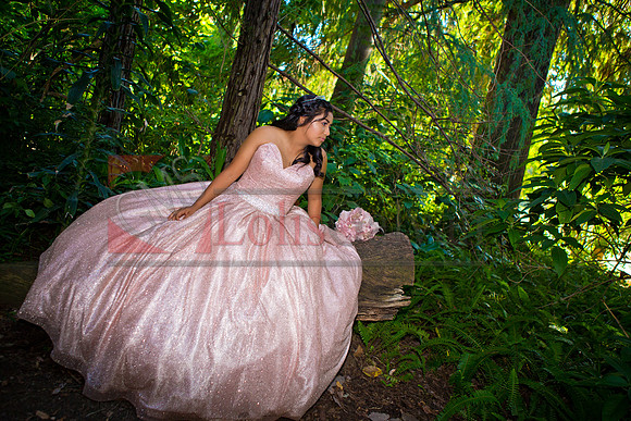 Julianna Mis Quince _0071