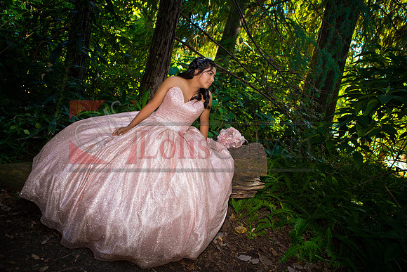 Julianna Mis Quince _0072