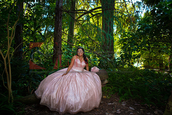 Julianna Mis Quince _0074