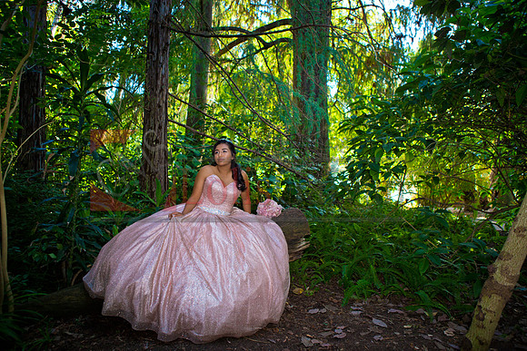 Julianna Mis Quince _0076