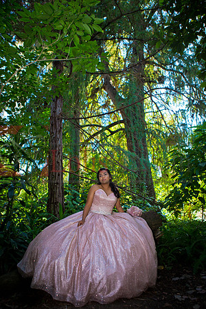 Julianna Mis Quince _0077