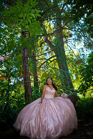 Julianna Mis Quince _0078
