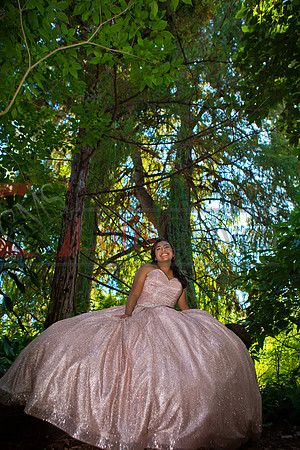 Julianna Mis Quince _0079