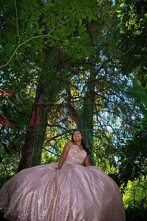 Julianna Mis Quince _0080