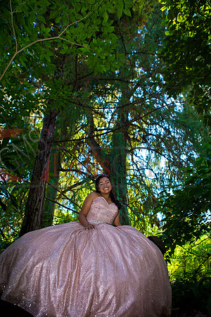 Julianna Mis Quince _0081