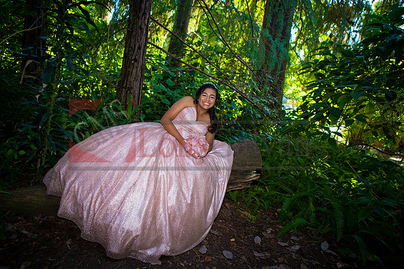 Julianna Mis Quince _0085