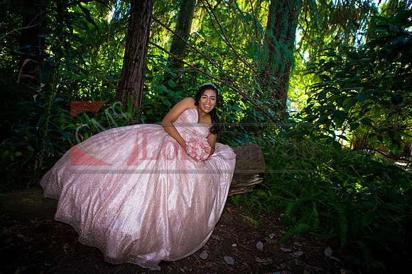 Julianna Mis Quince _0086