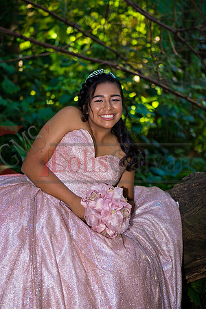 Julianna Mis Quince _0088