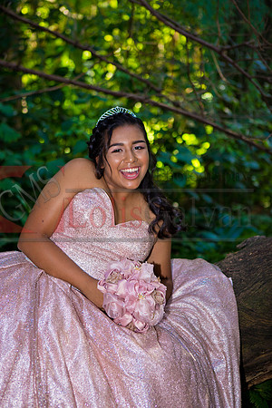 Julianna Mis Quince _0089