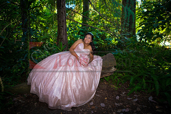 Julianna Mis Quince _0090