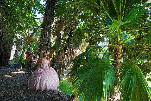 Julianna Mis Quince _0099