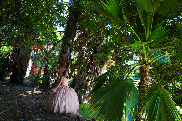 Julianna Mis Quince _0101