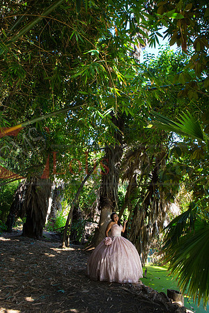 Julianna Mis Quince _0102