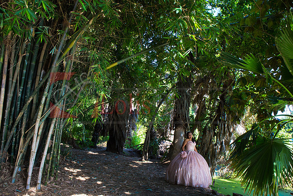 Julianna Mis Quince _0104