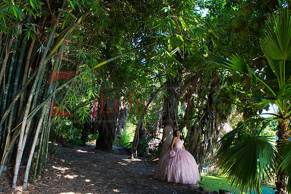 Julianna Mis Quince _0105