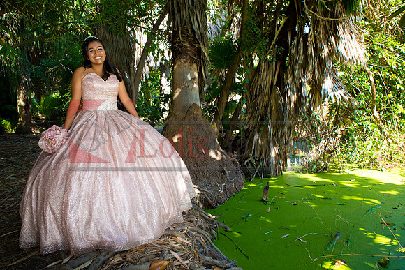 Julianna Mis Quince _0106