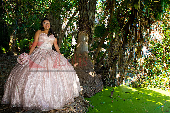 Julianna Mis Quince _0107