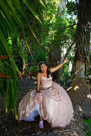 Julianna Mis Quince _0115