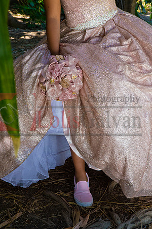 Julianna Mis Quince _0119