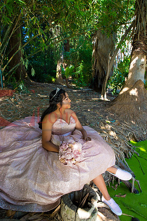 Julianna Mis Quince _0124