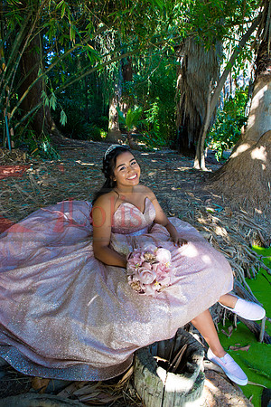 Julianna Mis Quince _0128