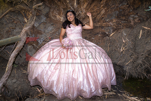 Julianna Mis Quince _0136