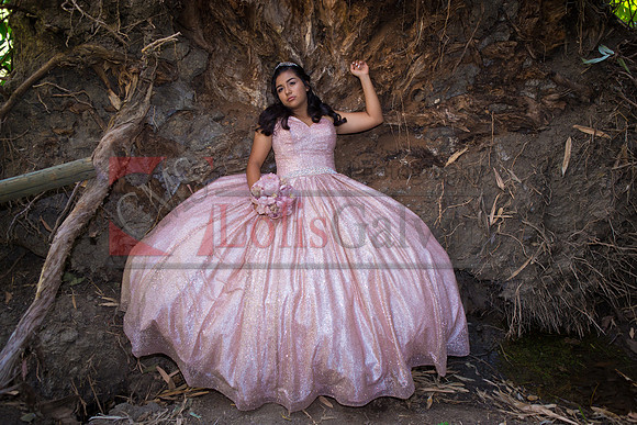Julianna Mis Quince _0137