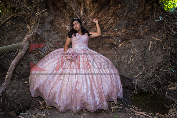 Julianna Mis Quince _0138