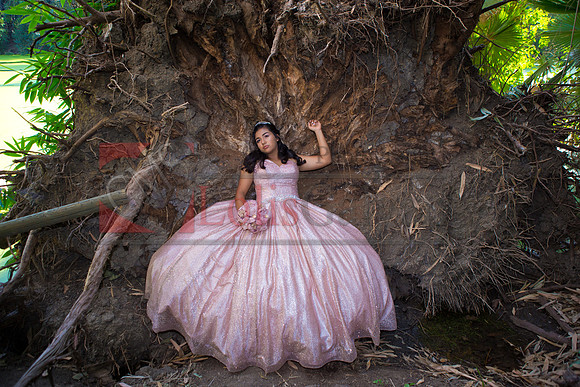 Julianna Mis Quince _0139