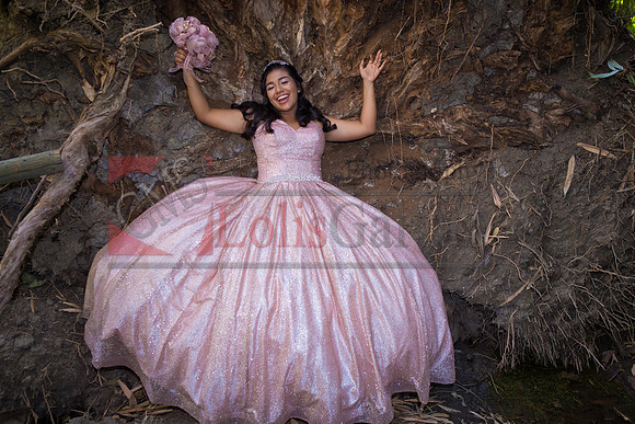 Julianna Mis Quince _0142