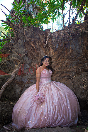 Julianna Mis Quince _0148