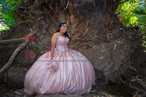 Julianna Mis Quince _0149