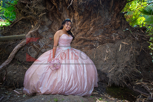 Julianna Mis Quince _0150
