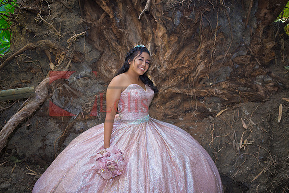 Julianna Mis Quince _0151