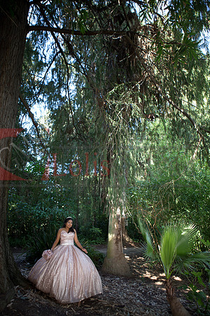 Julianna Mis Quince _0157