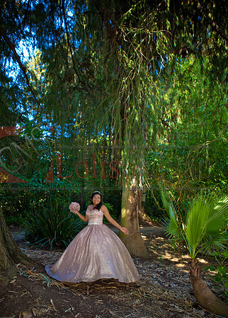 Julianna Mis Quince _0158