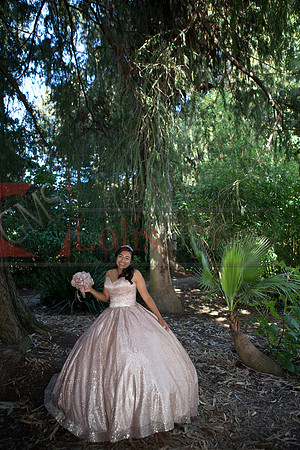 Julianna Mis Quince _0162