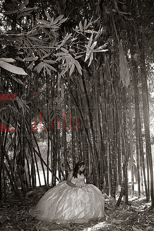 Julianna Mis Quince _0170