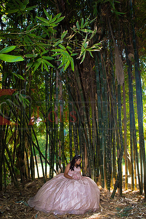 Julianna Mis Quince _0169
