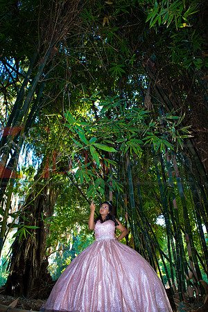 Julianna Mis Quince _0177