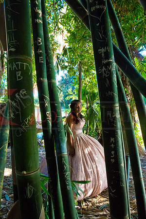 Julianna Mis Quince _0184