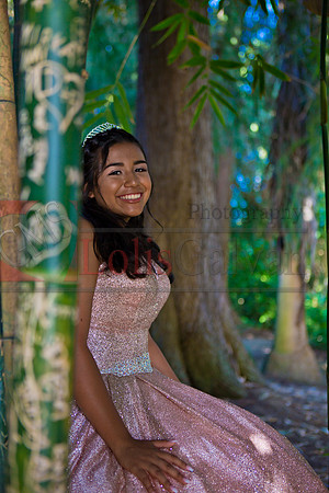 Julianna Mis Quince _0190