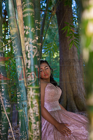 Julianna Mis Quince _0191