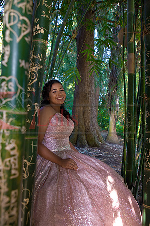 Julianna Mis Quince _0193