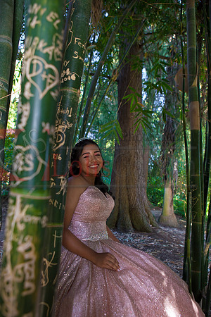 Julianna Mis Quince _0194