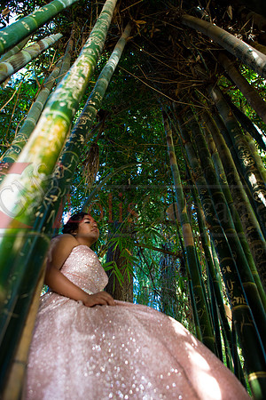 Julianna Mis Quince _0197