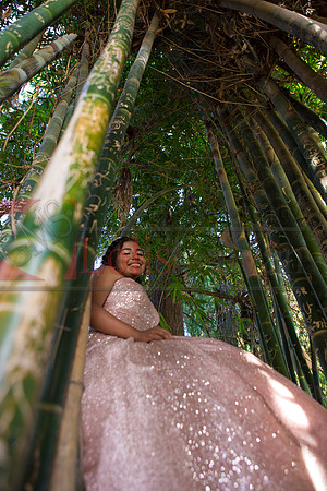 Julianna Mis Quince _0199