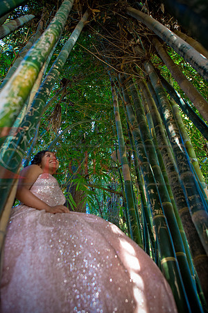 Julianna Mis Quince _0201