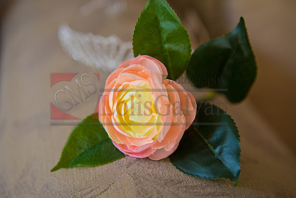 Julianna's  XV_0015